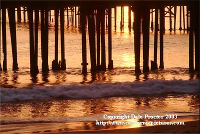 pictures of California pier in golden sunset