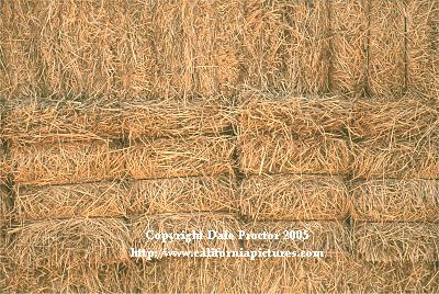 Strong hay graphic, line stacked in patterns