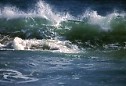 powerful waves rolling color in afternoon light