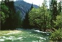 kings canyon national park wild scenic kings river spring